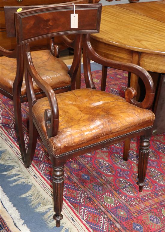 A pair of William IV elbow chair with hide seats